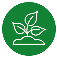 Gevuld Diensten Tekengebied 1