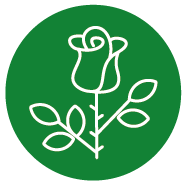 Tuinonderhoud Tekengebied 1 kopie 4