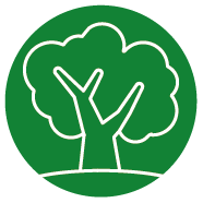 Tuinonderhoud Tekengebied 1 kopie 5